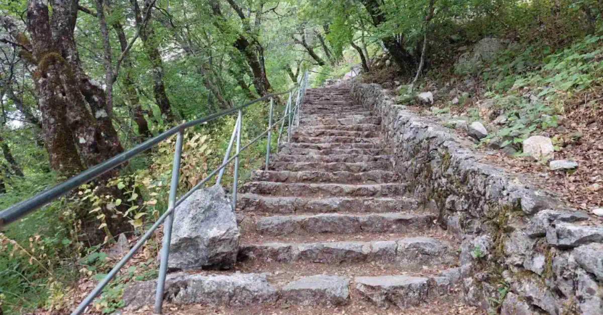 Ostrog Monastery path through woods