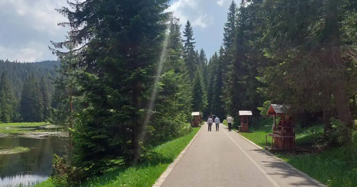 Zabljak Black Lake Walkway