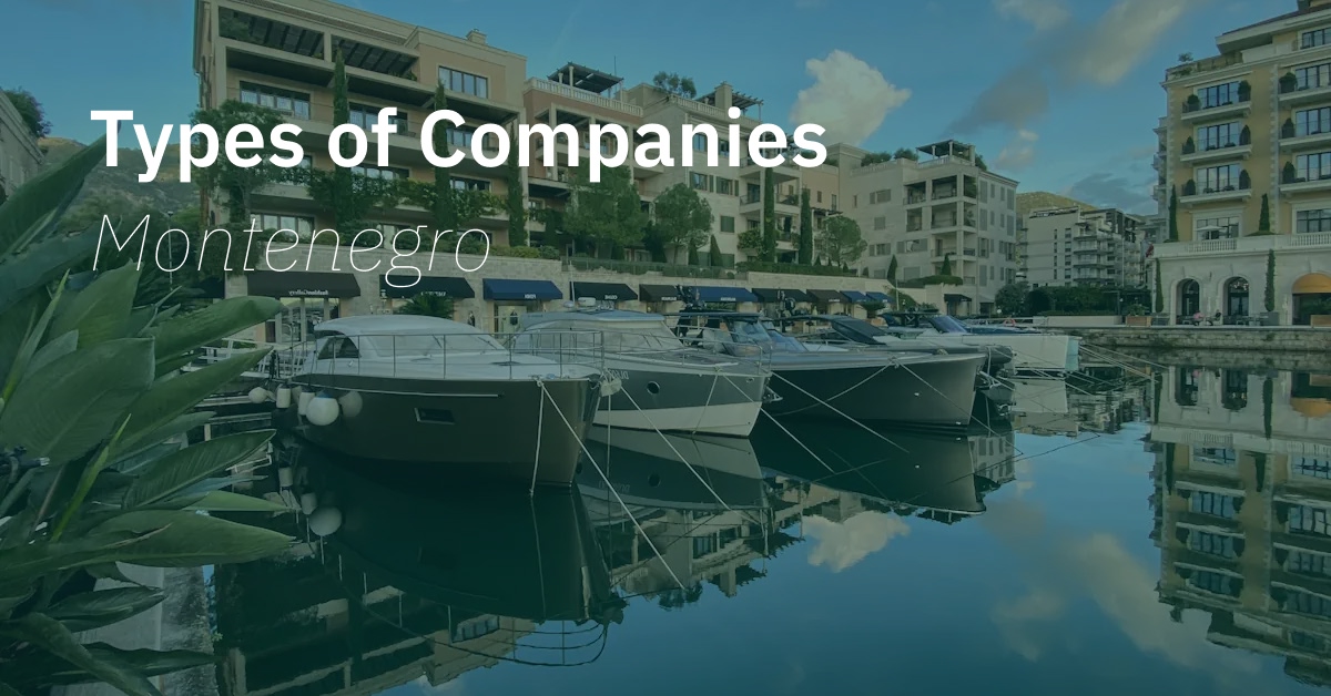 Learn more about the different company types in Montenegro